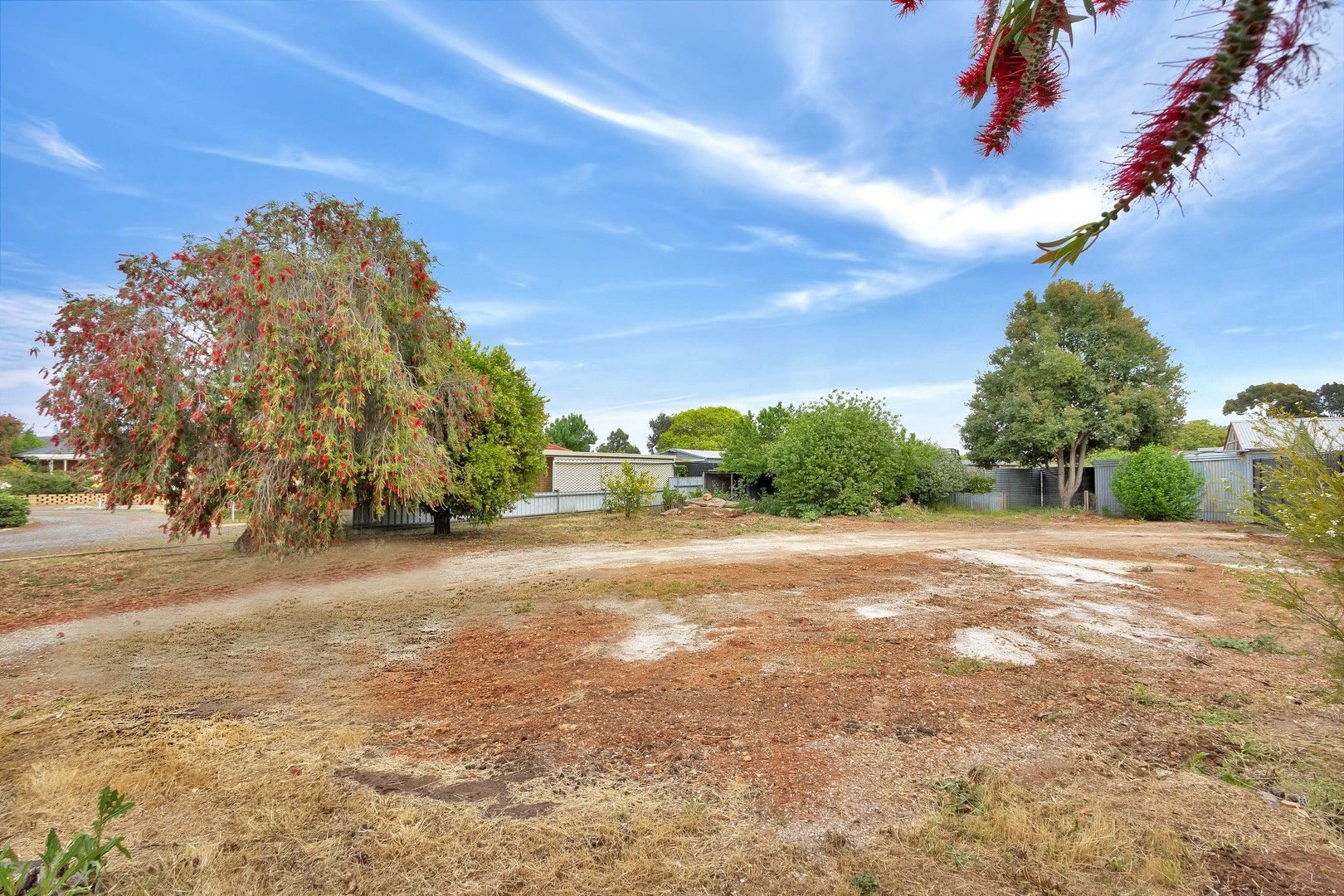 Lot 742 Krieg Street, Nuriootpa SA 5355, Image 0