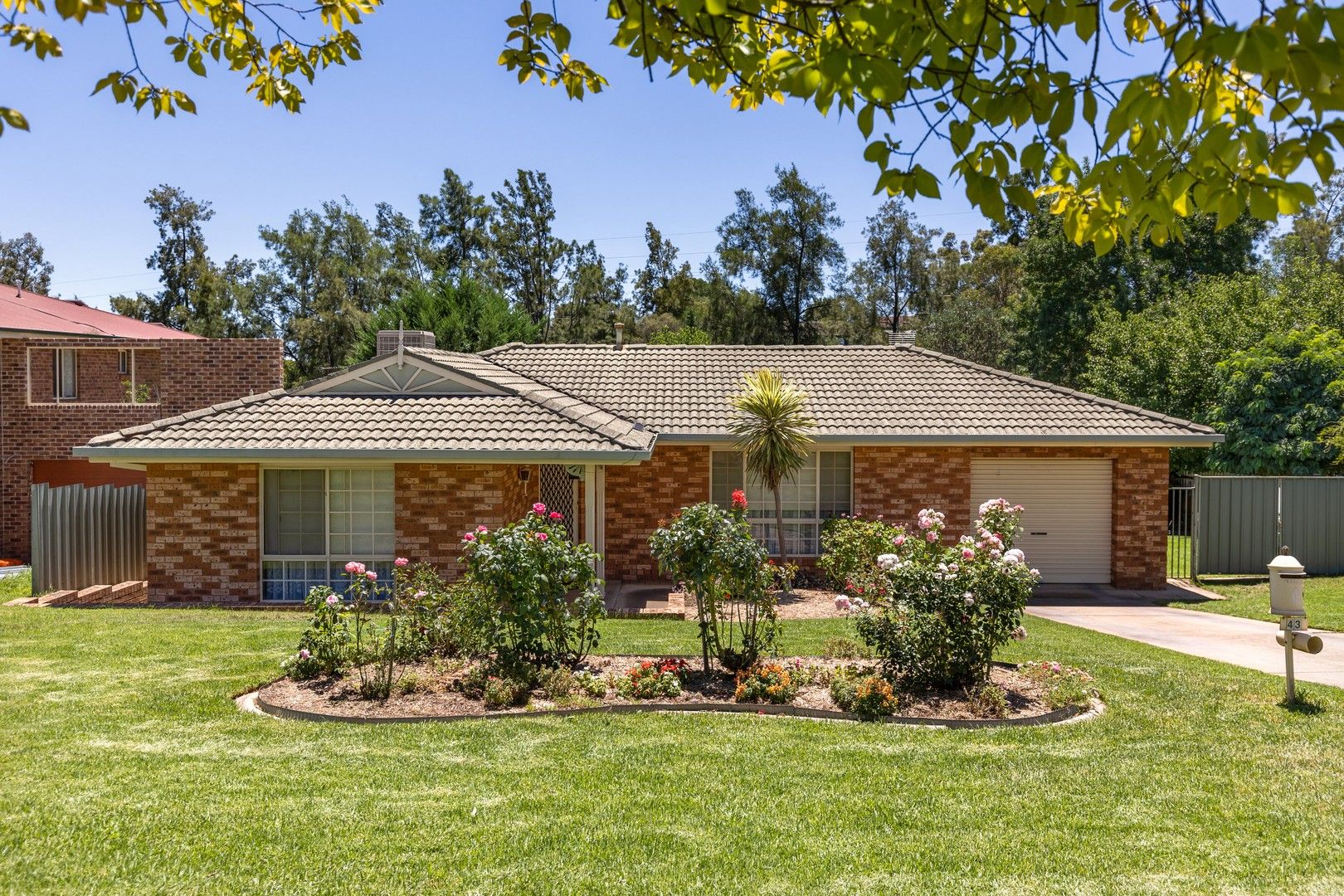 43 BROOKLYN DRIVE, Bourkelands NSW 2650, Image 1