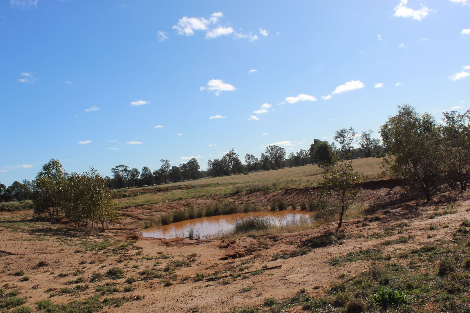 130 Tomingley Cemetery Road, Tomingley NSW 2869, Image 1