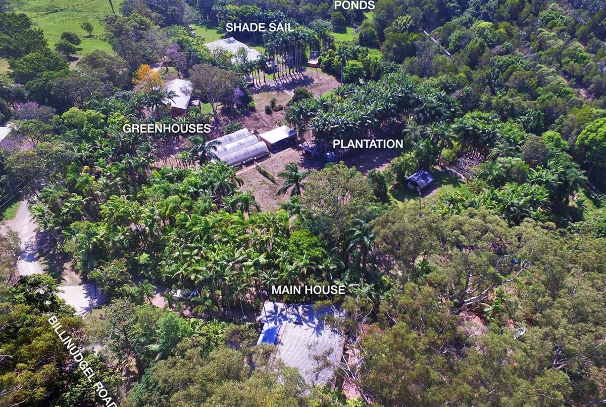 171 Billinudgel Road, Billinudgel NSW 2483, Image 1