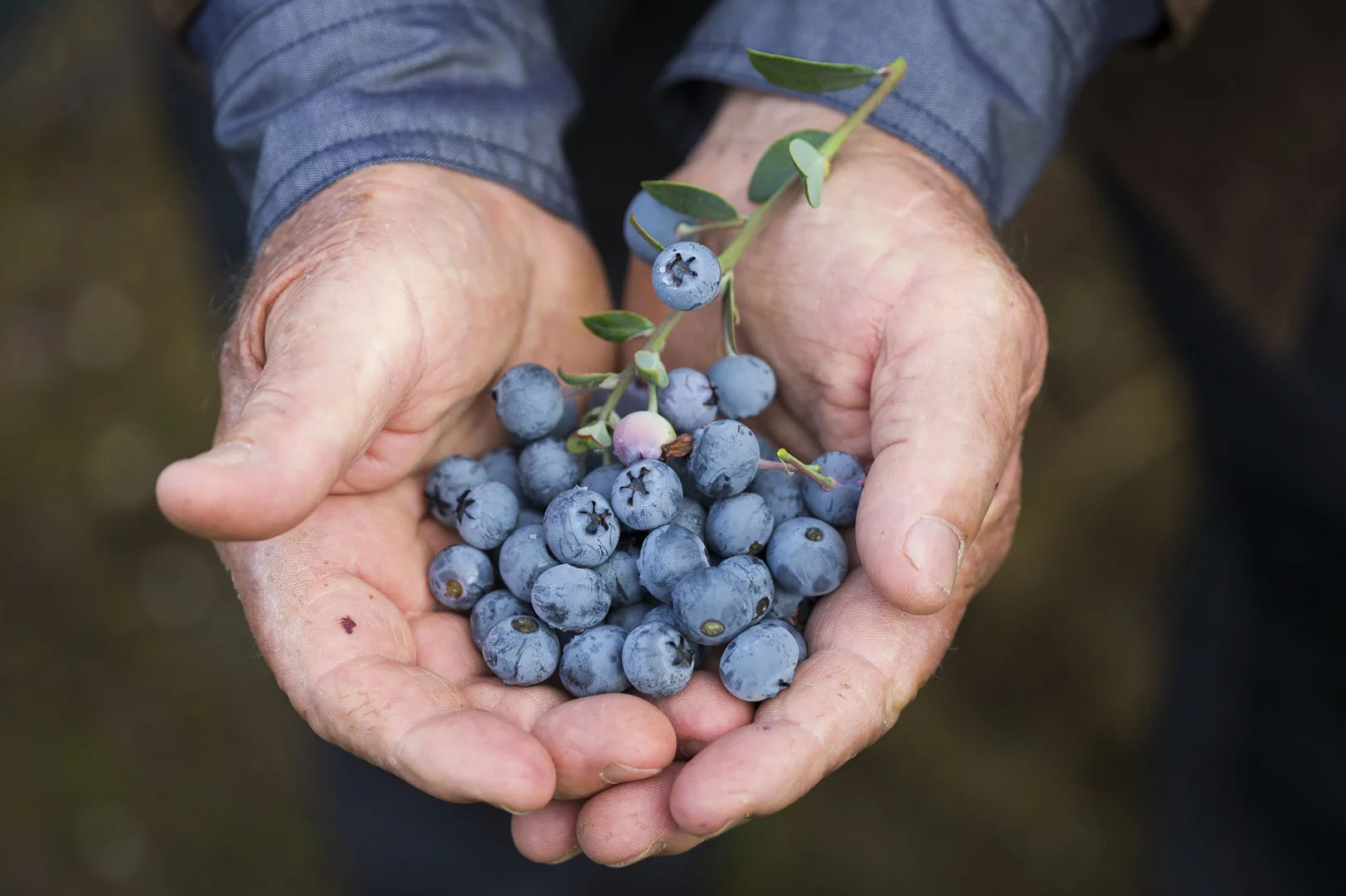 Additional image 25 of 103 Kawana Lane, Barraganyatti NSW 2441