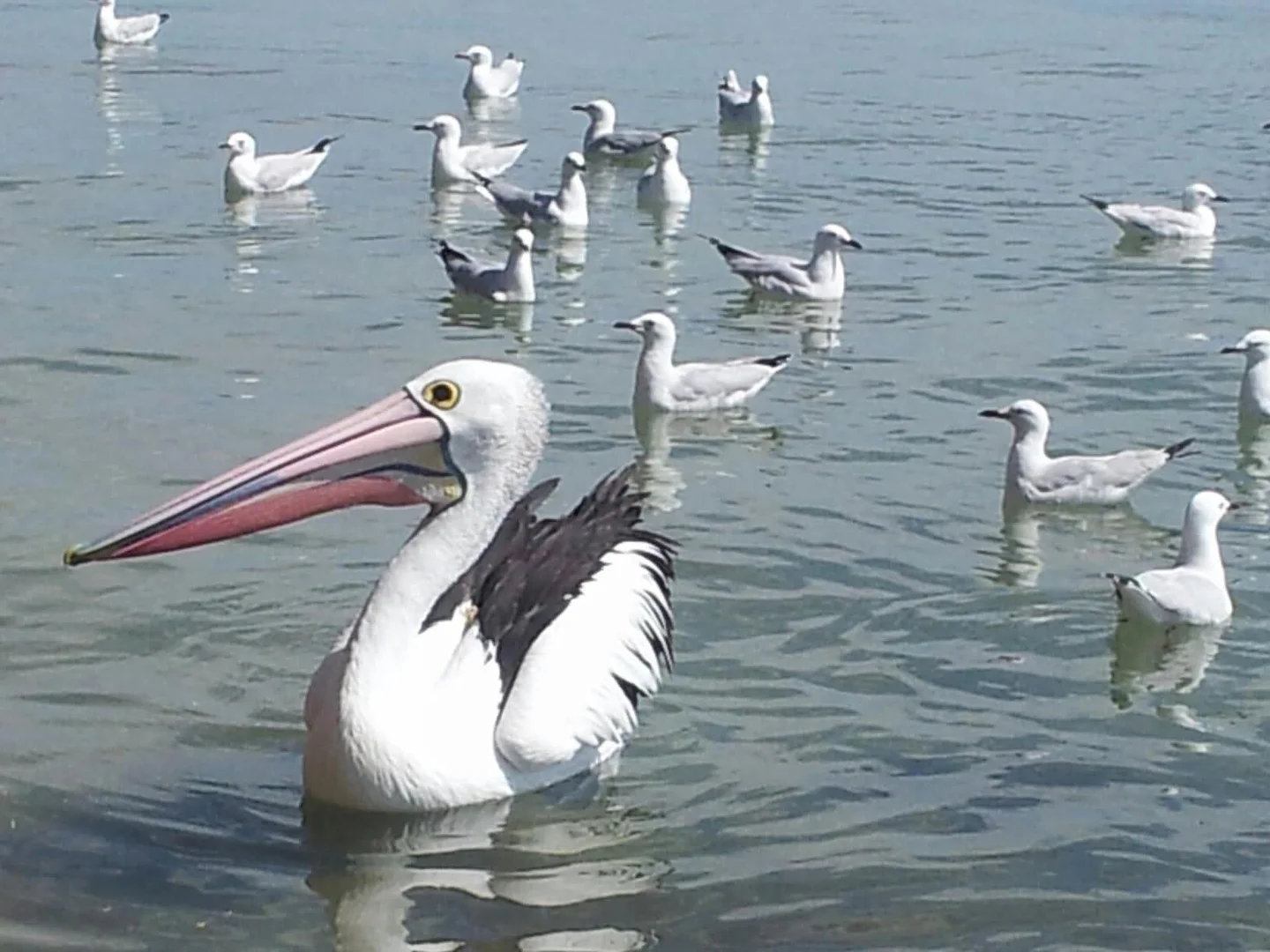 Additional image 31 of 1/7 Jupiter Way, Greenfields WA 6210