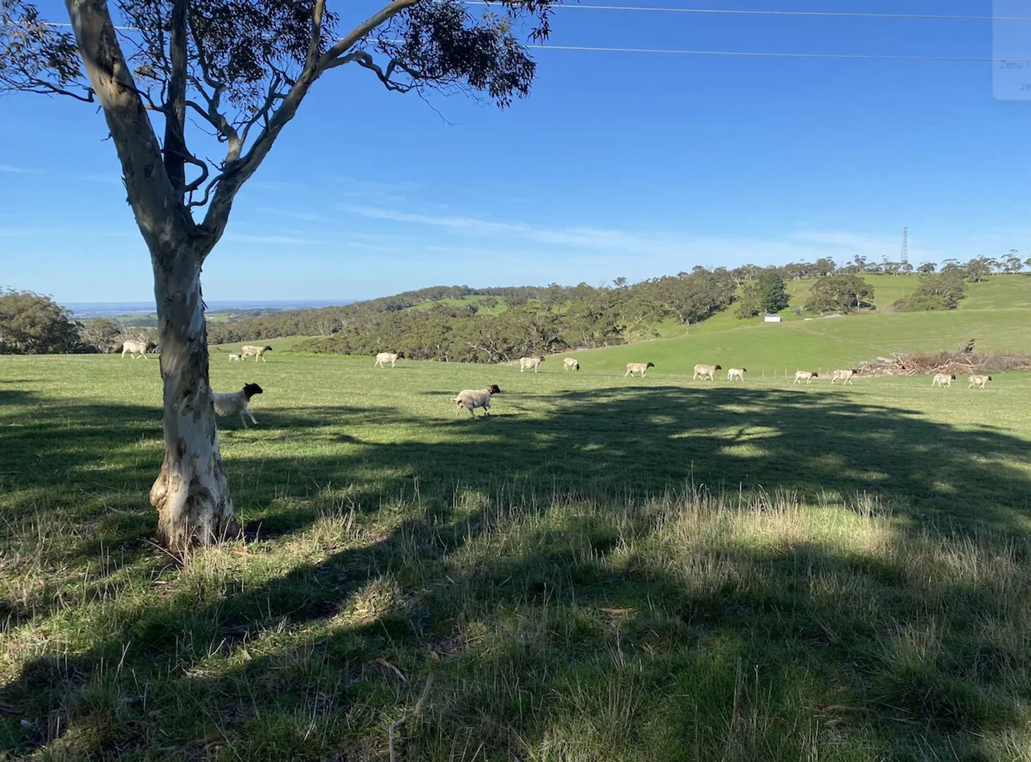 Additional image 17 of 240 Greenhills Road, Green Hills Range SA 5153