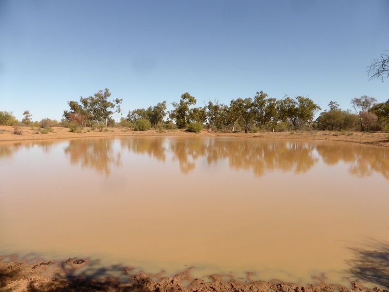 Quilpie QLD 4480, Image 1