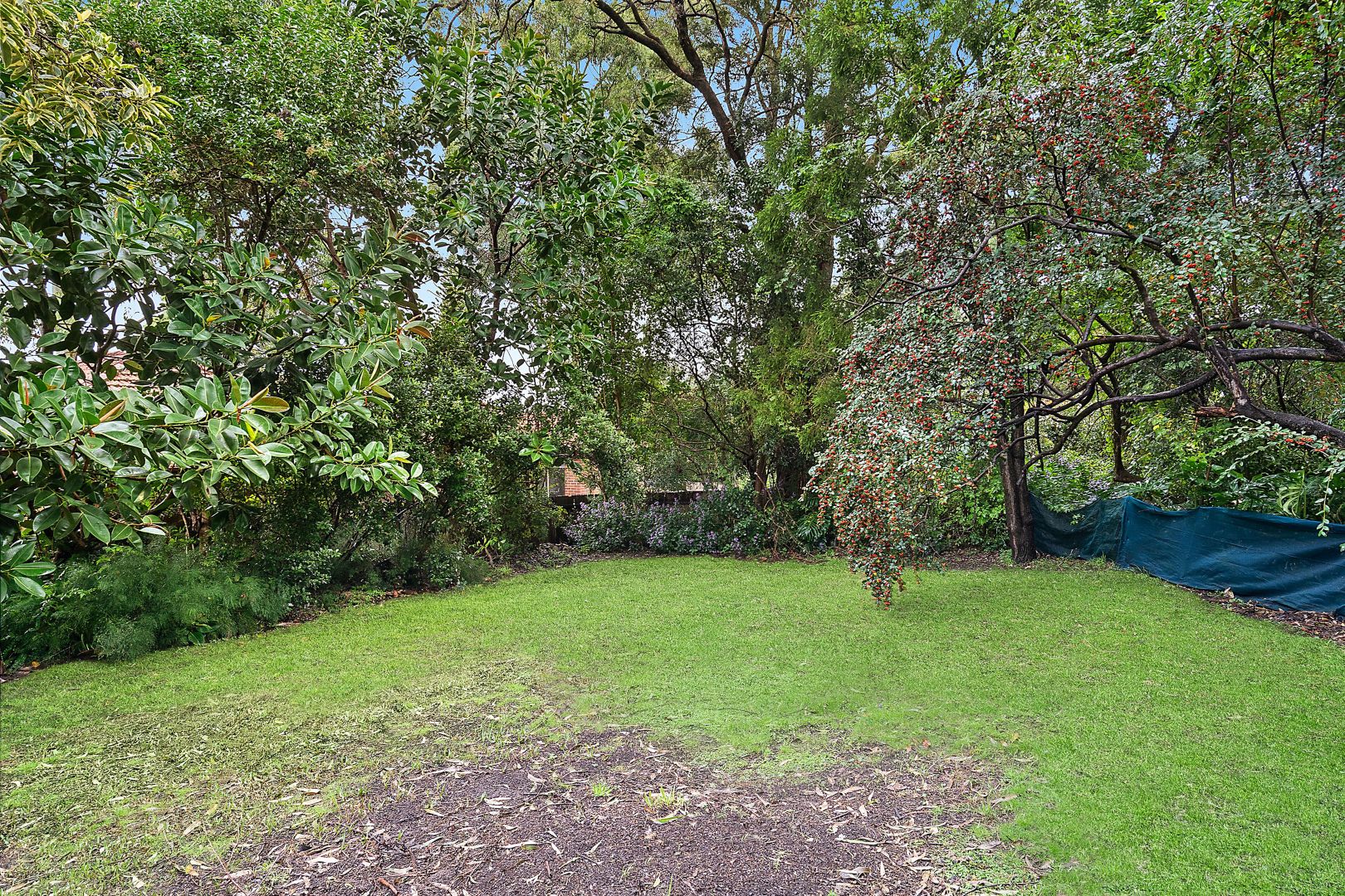 67 Darvall Road, West Ryde NSW 2114, Image 2