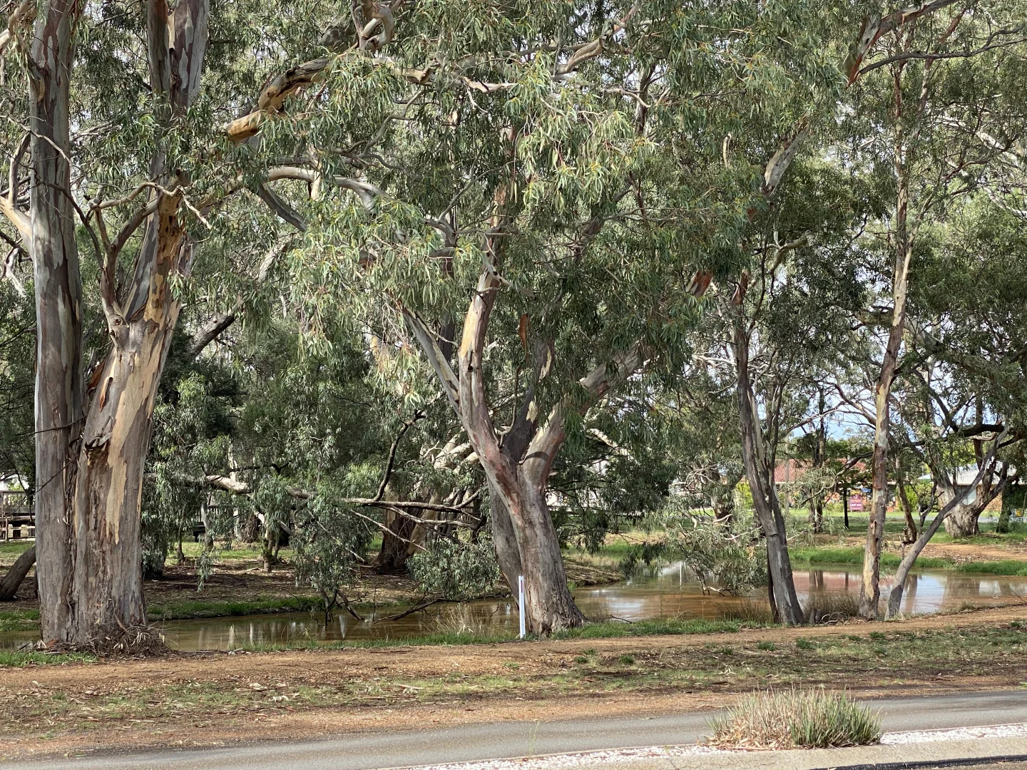 Image 12