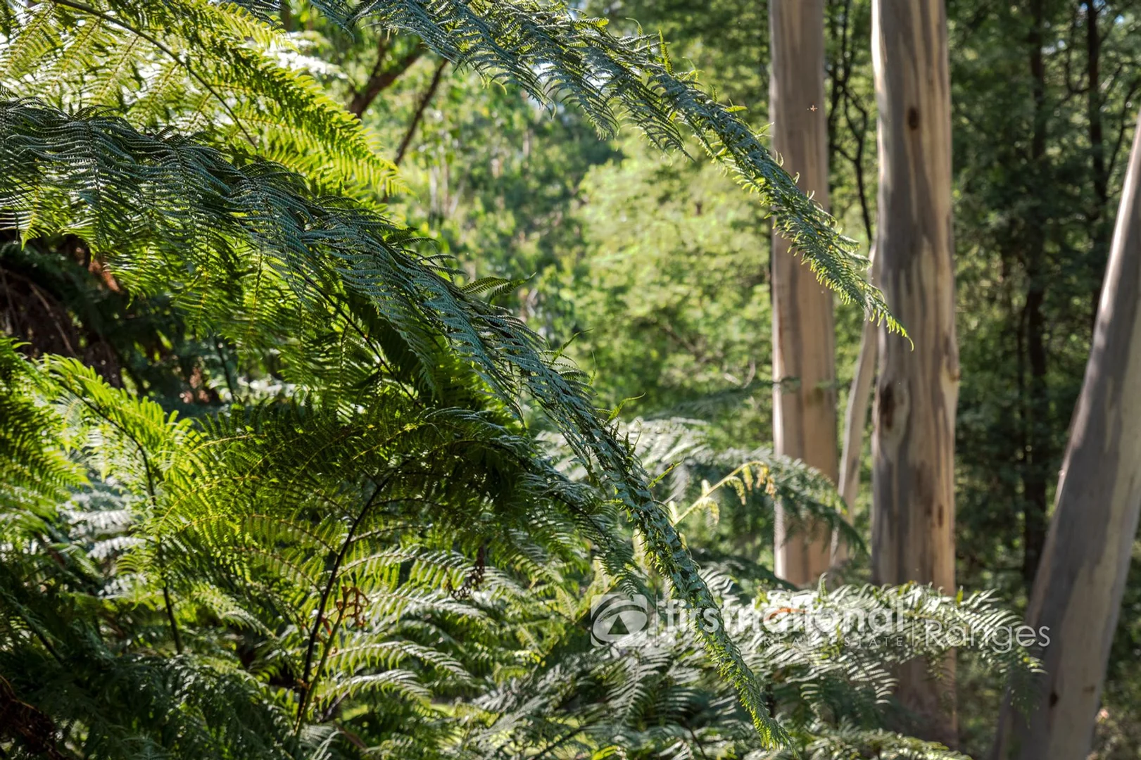 Additional image 8 of 140 Beenak Road, Gembrook VIC 3783