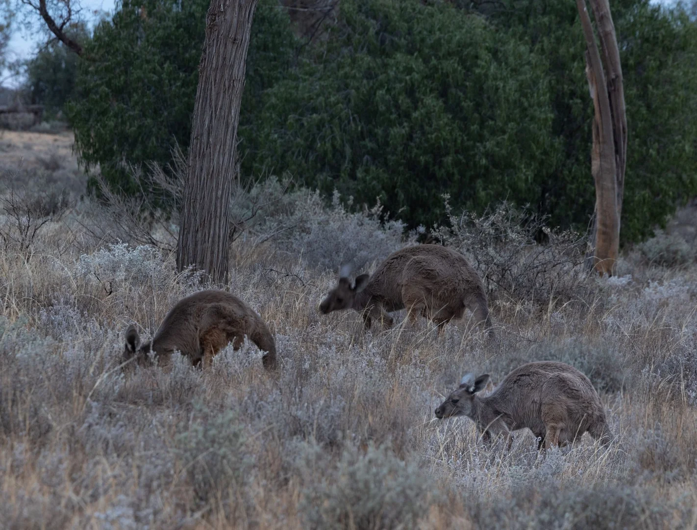 Additional image 16 of 189 Coyles Road, Wodonga VIC 3690