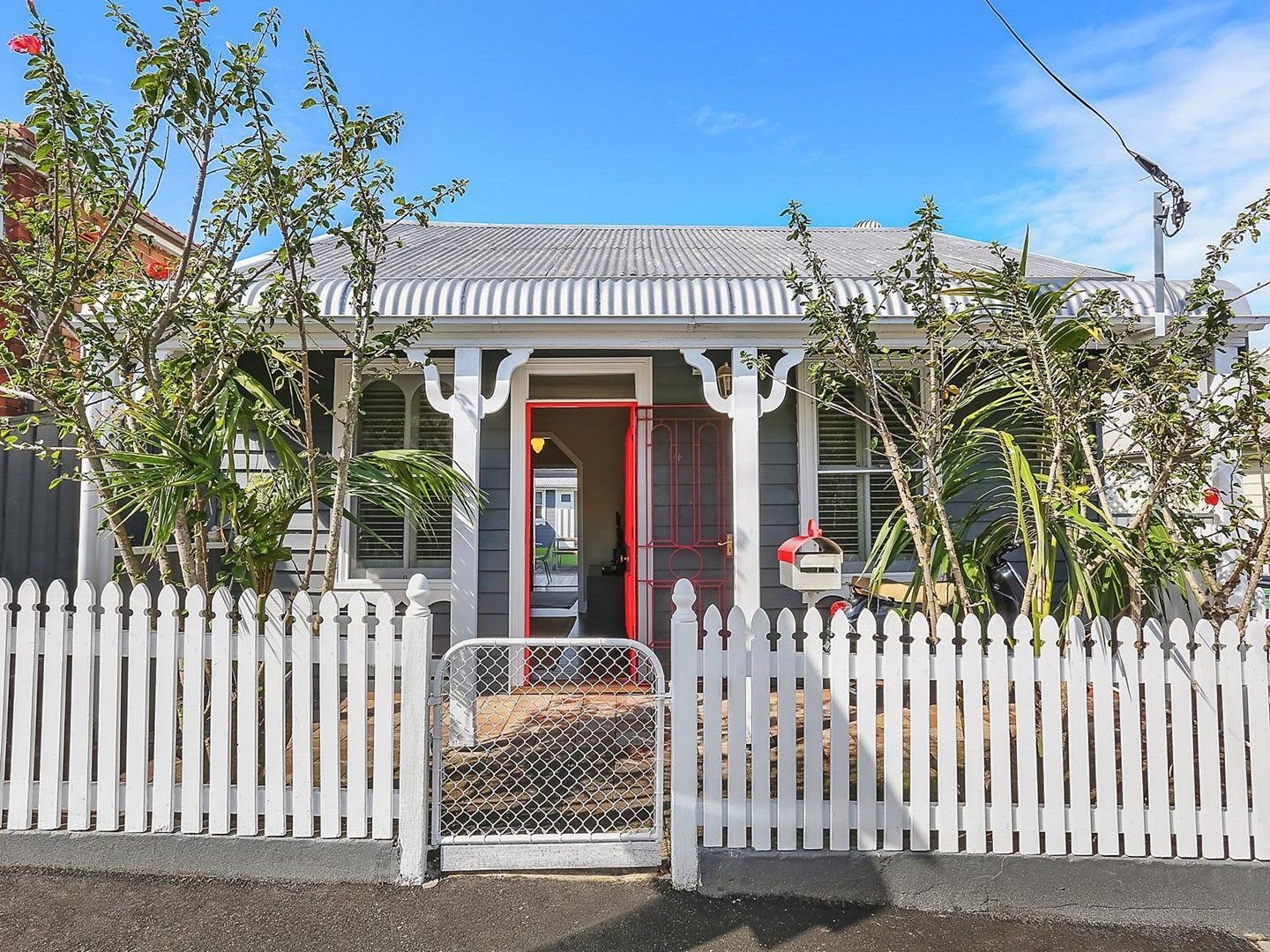 14 Callan Street, Rozelle NSW 2039, Image 0