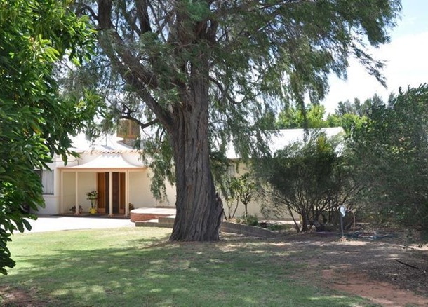 371 Virgo Road, Waikerie SA 5330