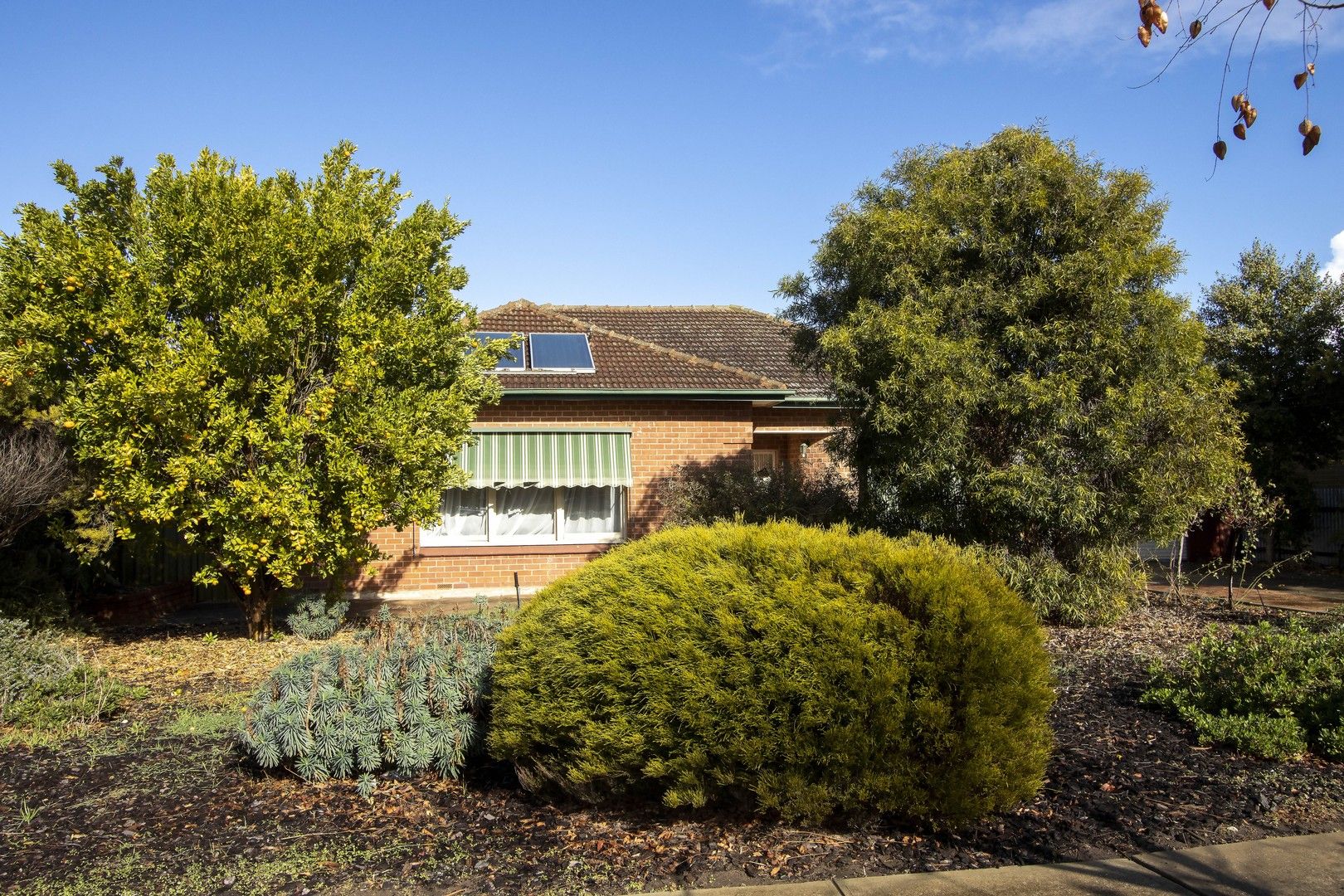 29 Gosfield Crescent, Hampstead Gardens SA 5086, Image 1