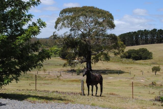 Red Hills Road, MARULAN NSW 2579, Image 0