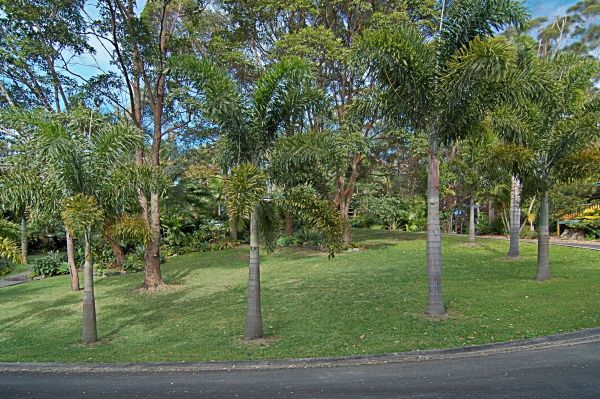 7 Coolalie Place, Byron Bay NSW 2481, Image 2