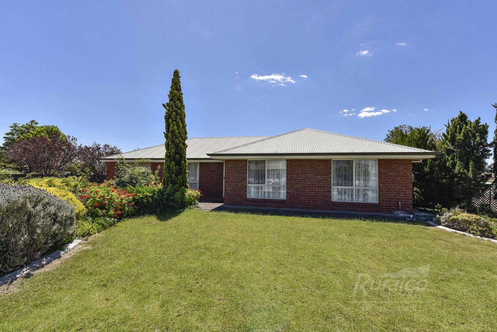 51 Venn Avenue, Bordertown SA 5268, Image 0