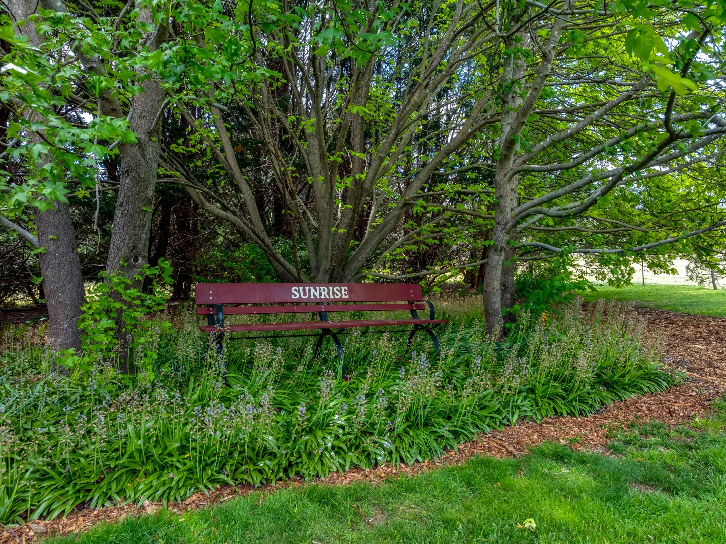 Image 25