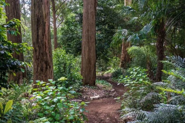 Additional image 12 of 6 Alice Street, Sassafras VIC 3787