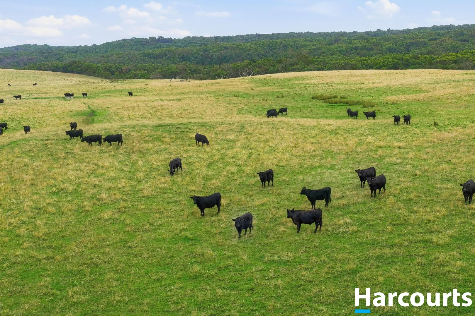 Additional image 35 of 80 Munbilla Road, Tarwin Lower VIC 3956