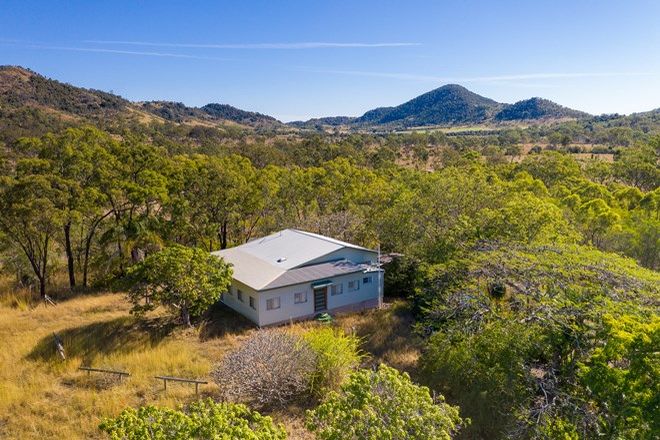 Picture of 1130 Calliope River Road, WEST STOWE QLD 4680