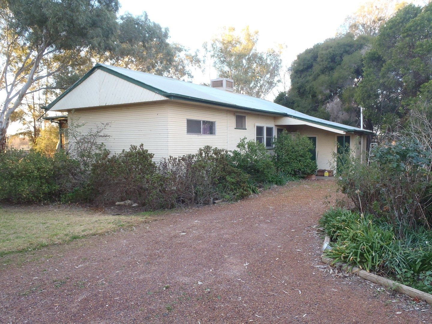 Farm 1082 Murrami Rd, Murrami NSW 2705, Image 0