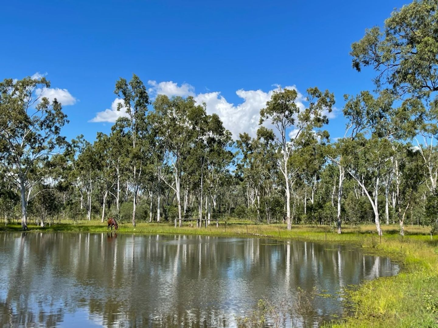 524 St. Lawrence Connection Road, St Lawrence QLD 4707