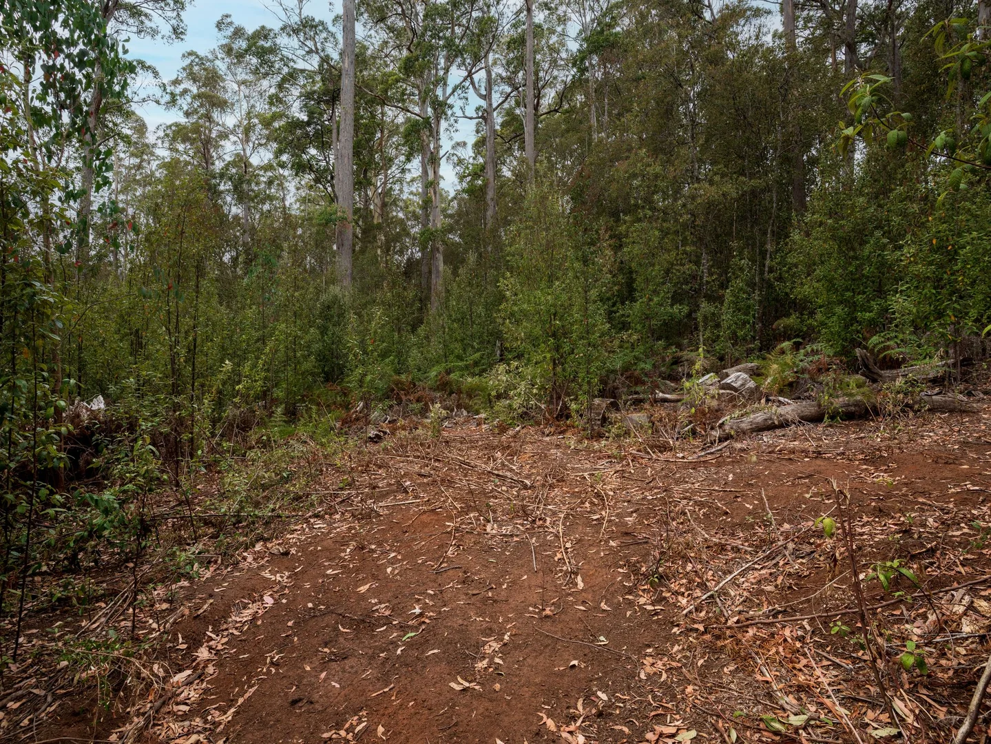 Additional image 12 of 167 Lake Barrington Road, Wilmot TAS 7310