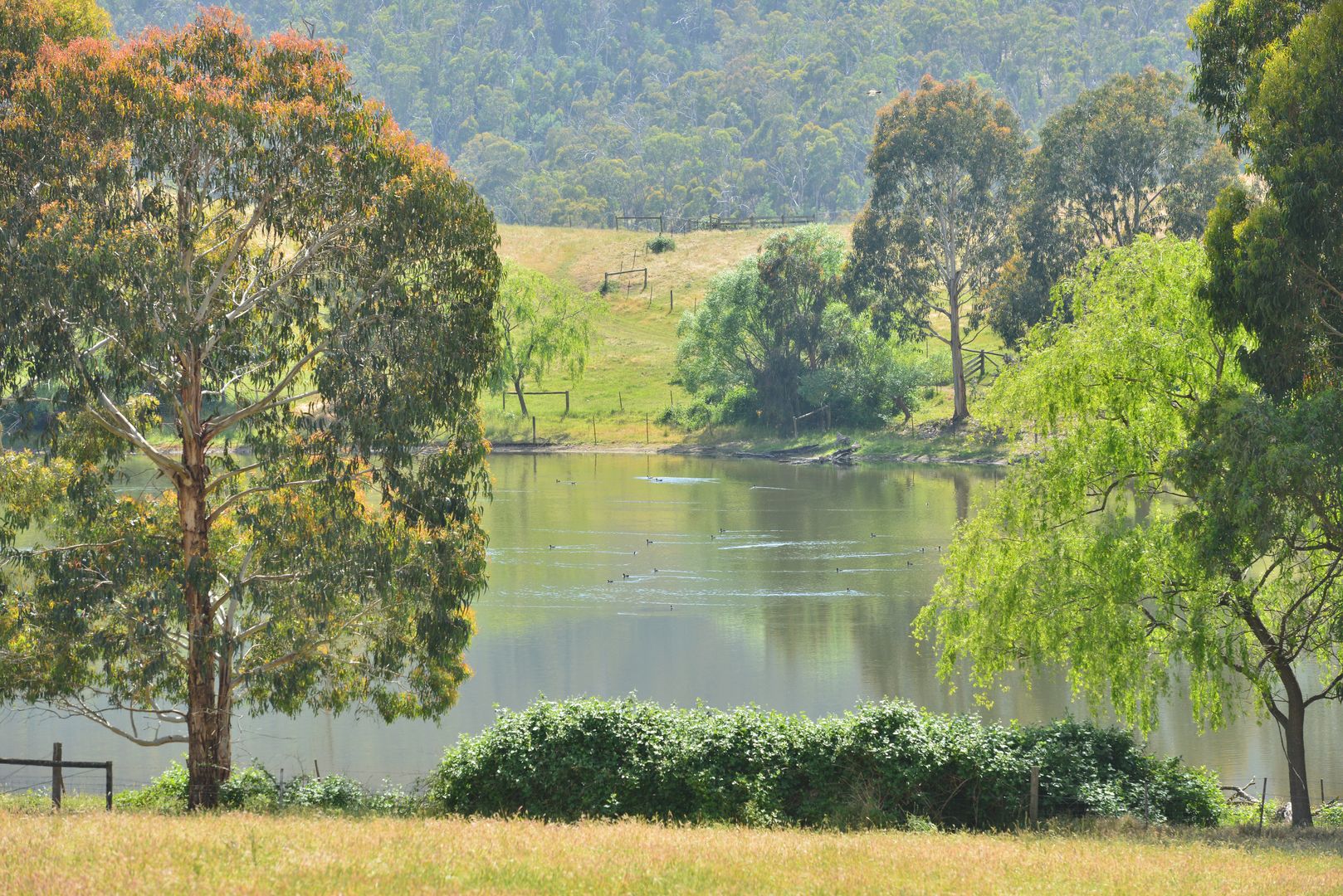 Flowerdale VIC 3717 House for Sale Domain