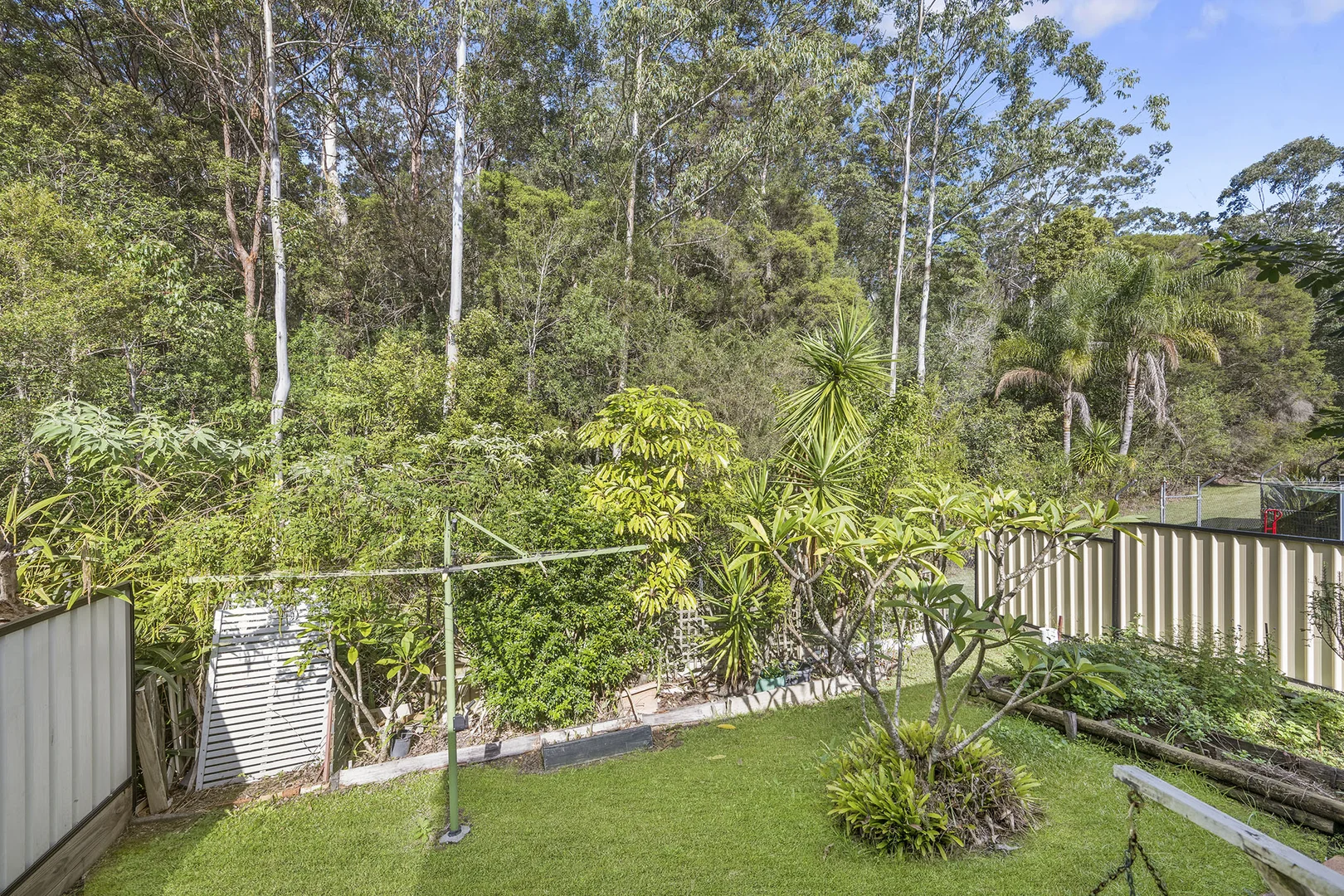 Image 10