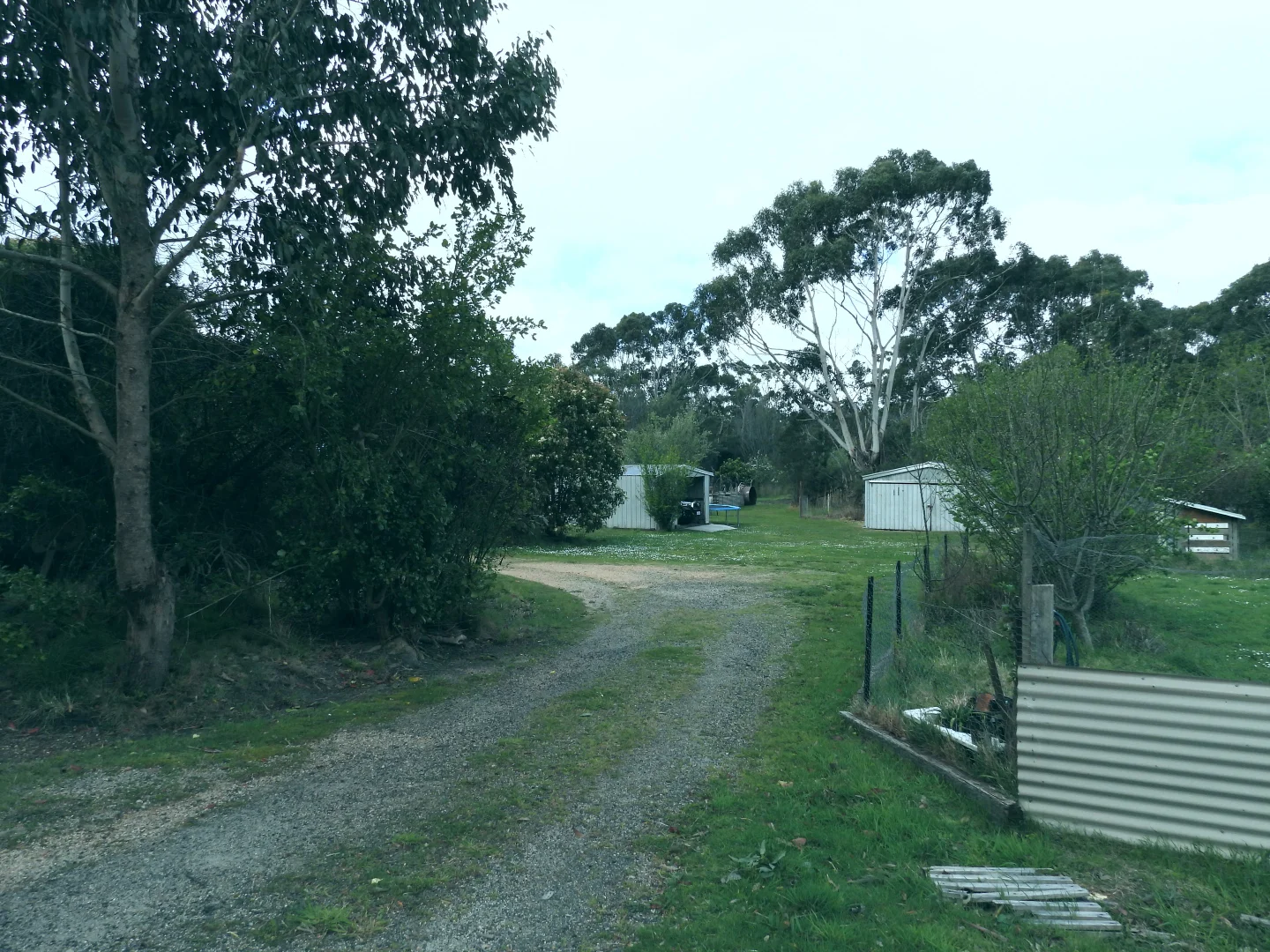 Image 17