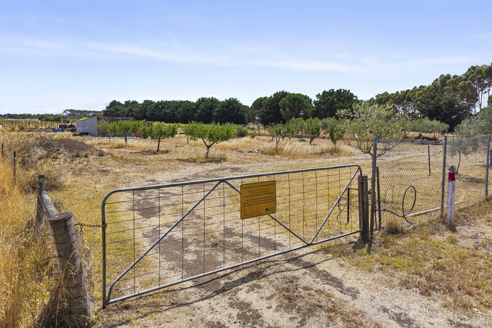 Additional image 6 of Lot 6 Camperdown Lismore Road, Lismore VIC 3324