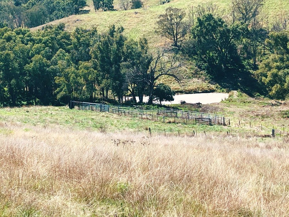 "Silver Springs" Danglemah Road, Woolbrook NSW 2354 Domain