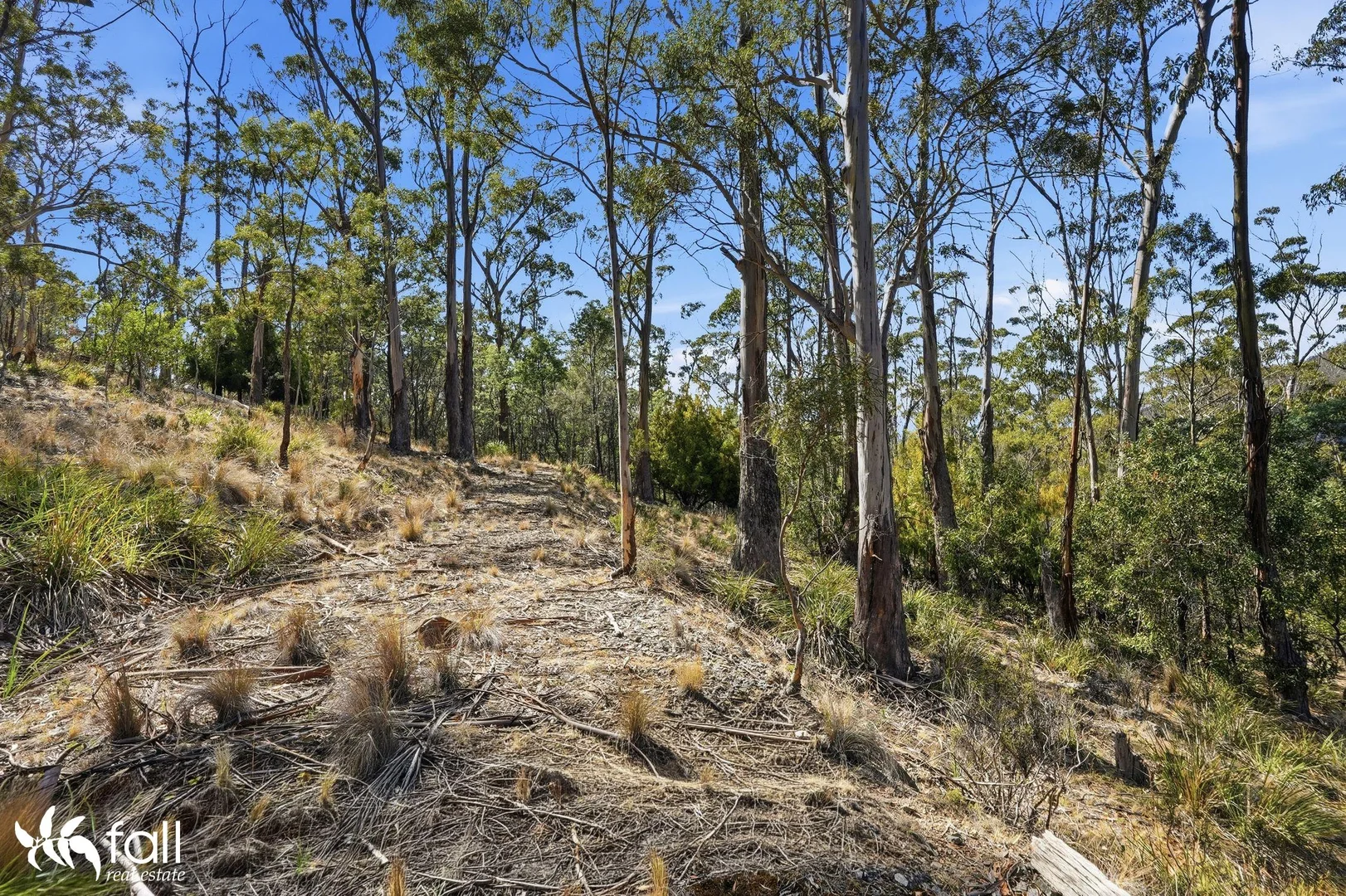 Additional image 7 of 40 Dexter Drive, Mount Rumney TAS 7170