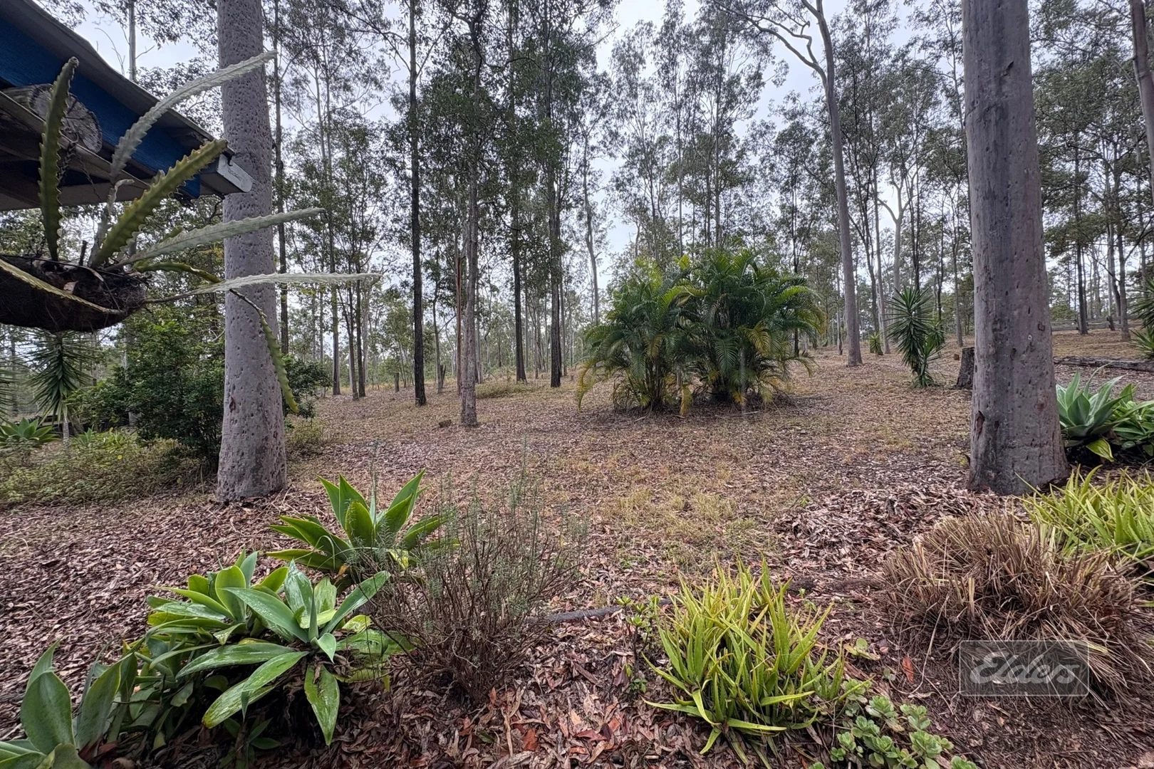 Image 14