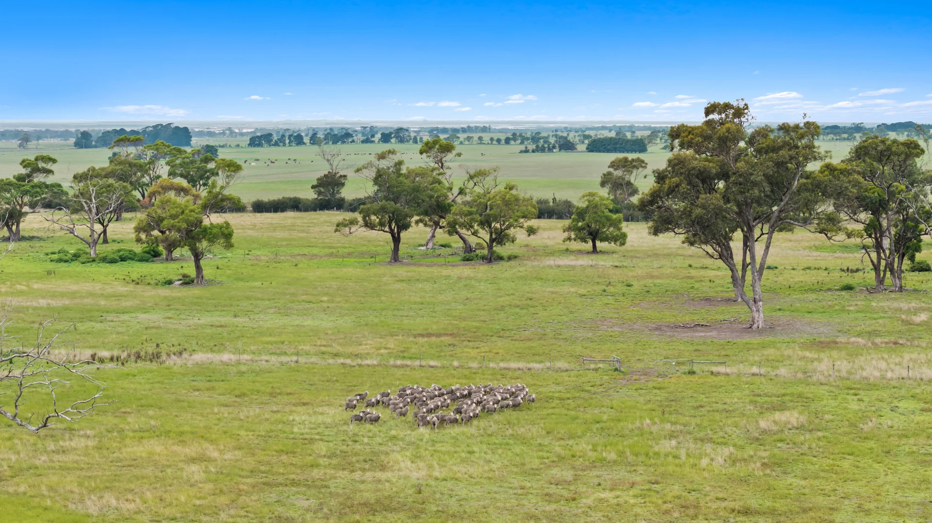 Additional image 17 of 980 Longford Loch Sport Road, Dutson VIC 3851