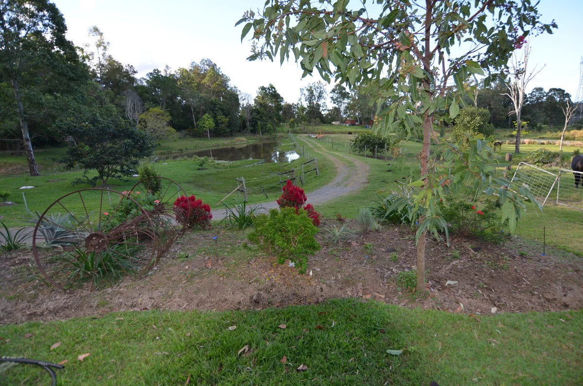 Additional image 4 of 153 F Lindsay Road, Rocksberg QLD 4510