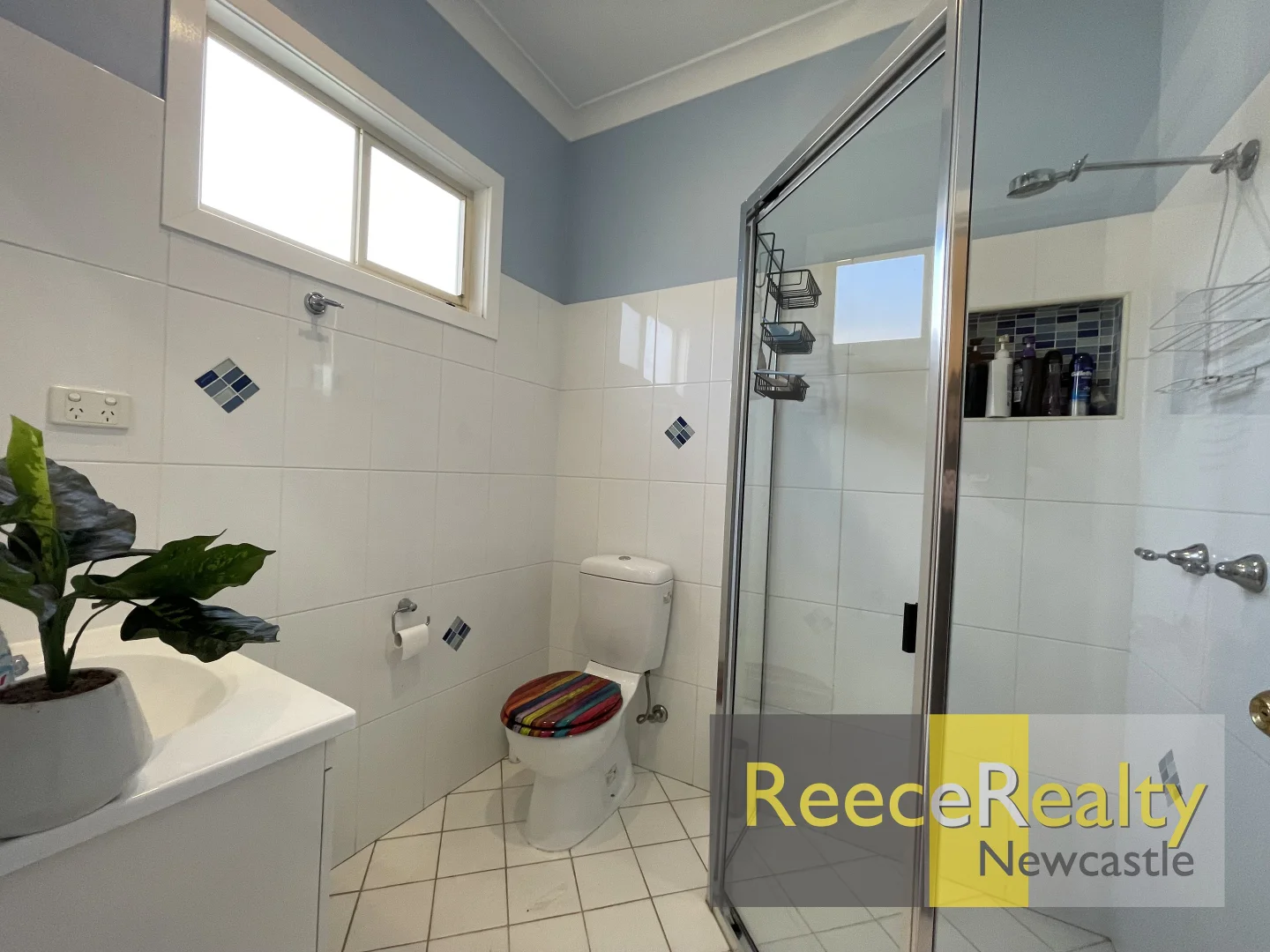 Additional image 12 of 23 Carandotta Street, Mayfield West NSW 2304