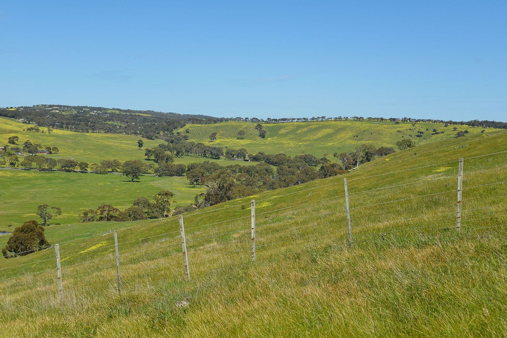 Lot 20 Stock Road, Lower Inman Valley SA 5211, Image 2