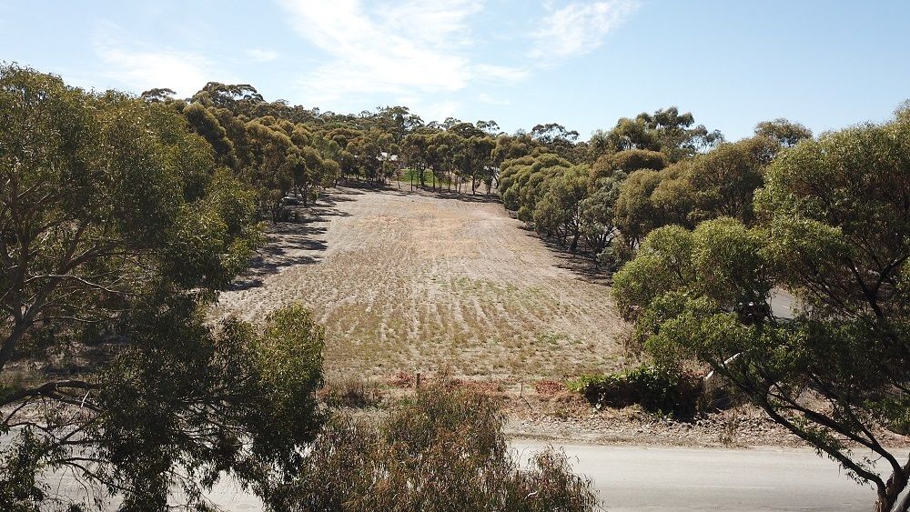 500 Square Mile Road, Stanley Flat SA 5453, Image 1