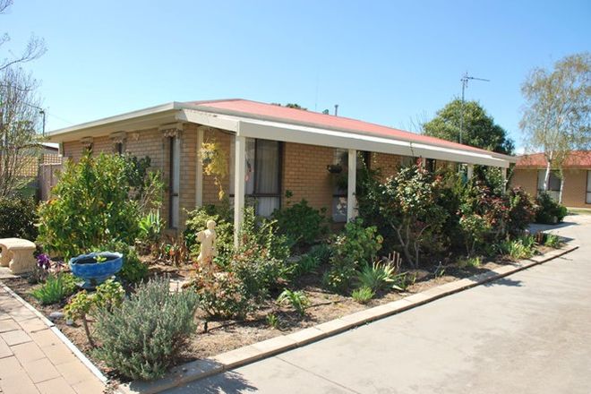 Picture of 1/11 Howard Street, BAROOGA NSW 3644