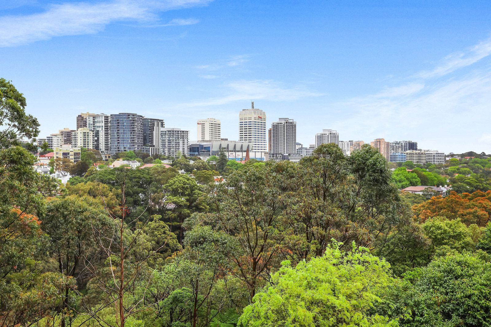 2/38 Bellevue Road, Bellevue Hill NSW 2023, Image 1