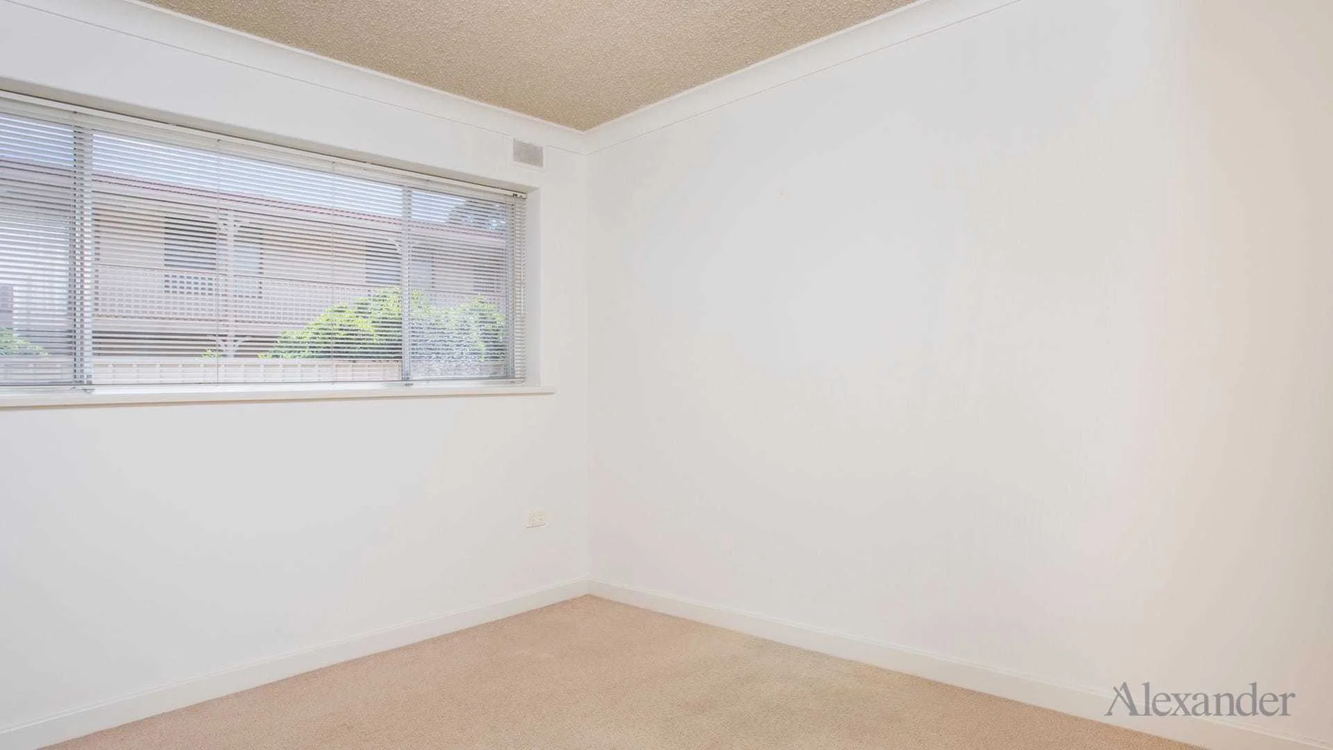 Additional image 6 of 2/31 Everard Avenue, Ashford SA 5035