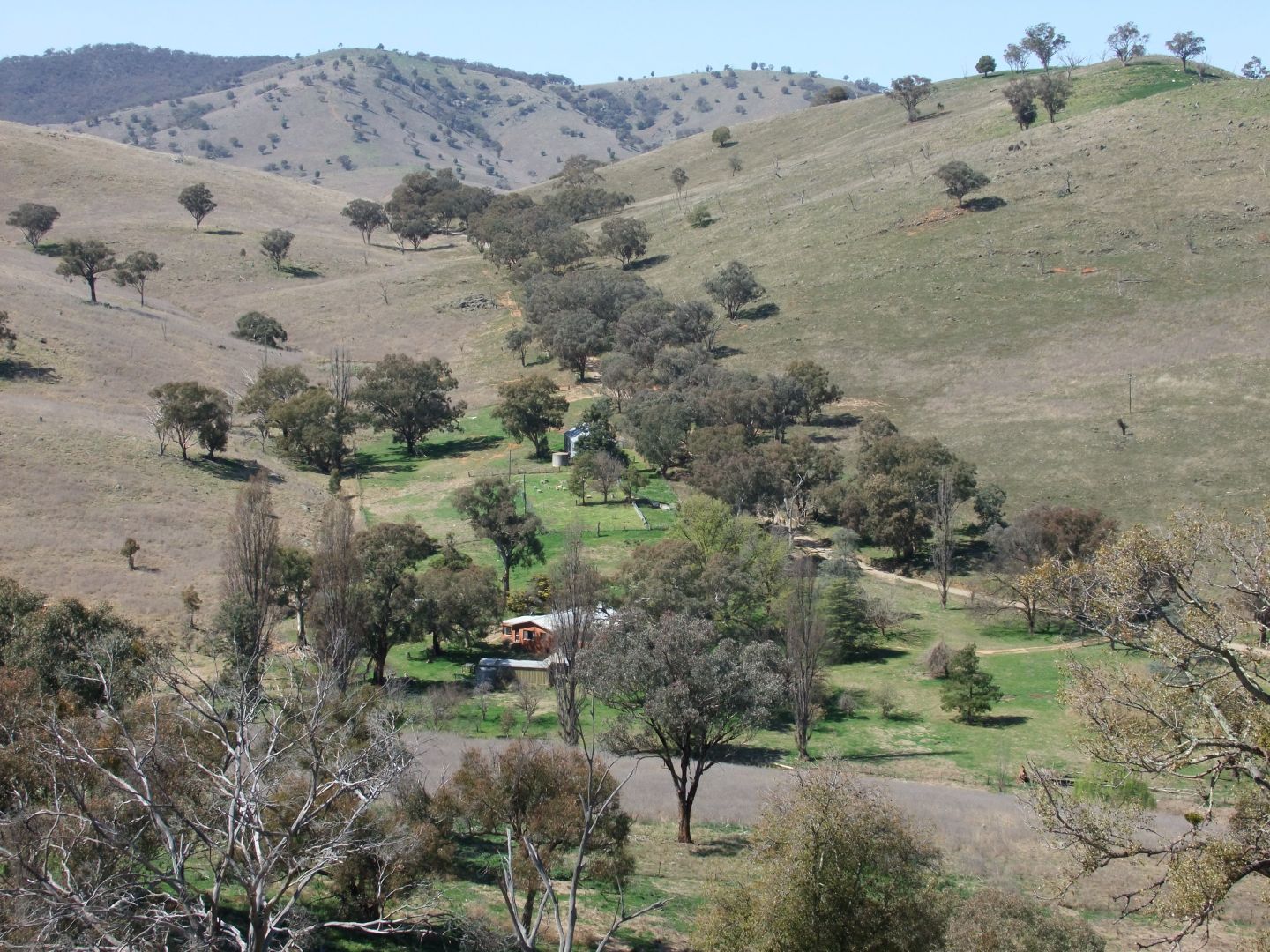 2368 The Bridle Track, Bruinbun NSW 2795, Image 1