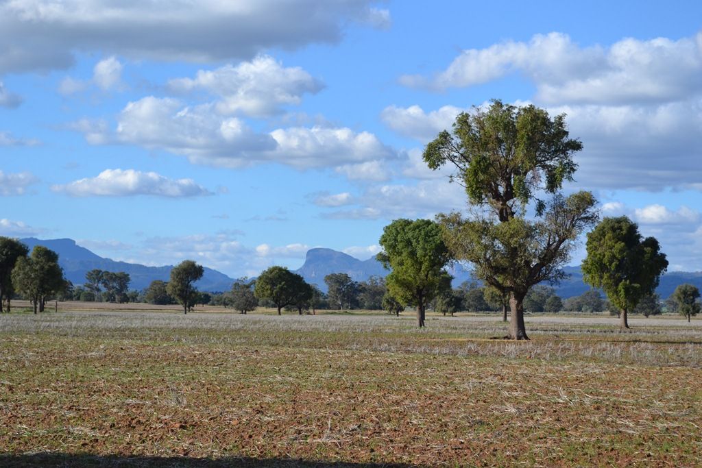 CLEARVALE & YOULBUNG, Tooraweenah NSW 2817, Image 0