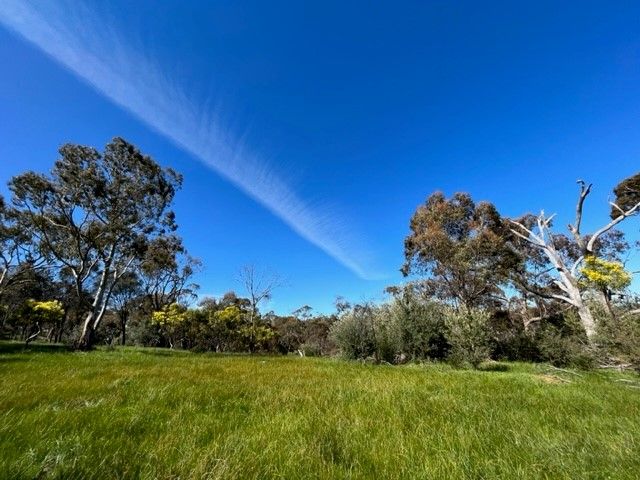 16 Craig Hill Road, Stanley Flat SA 5453, Image 0