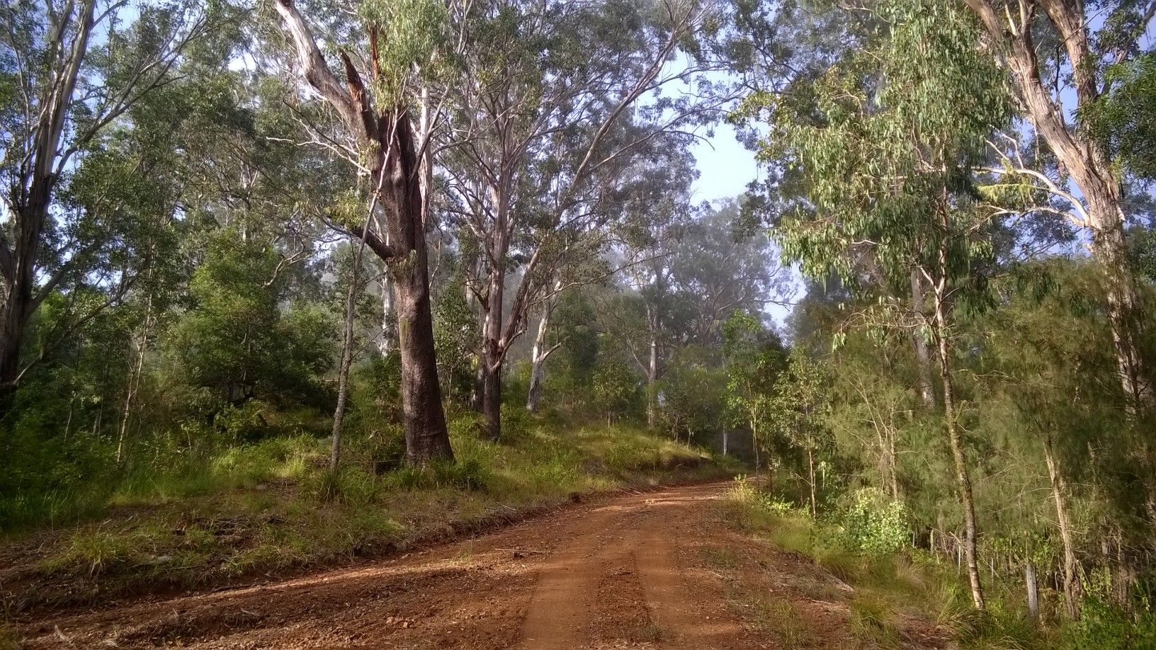 Bunnoo River Road, Ellenborough NSW 2446, Image 2