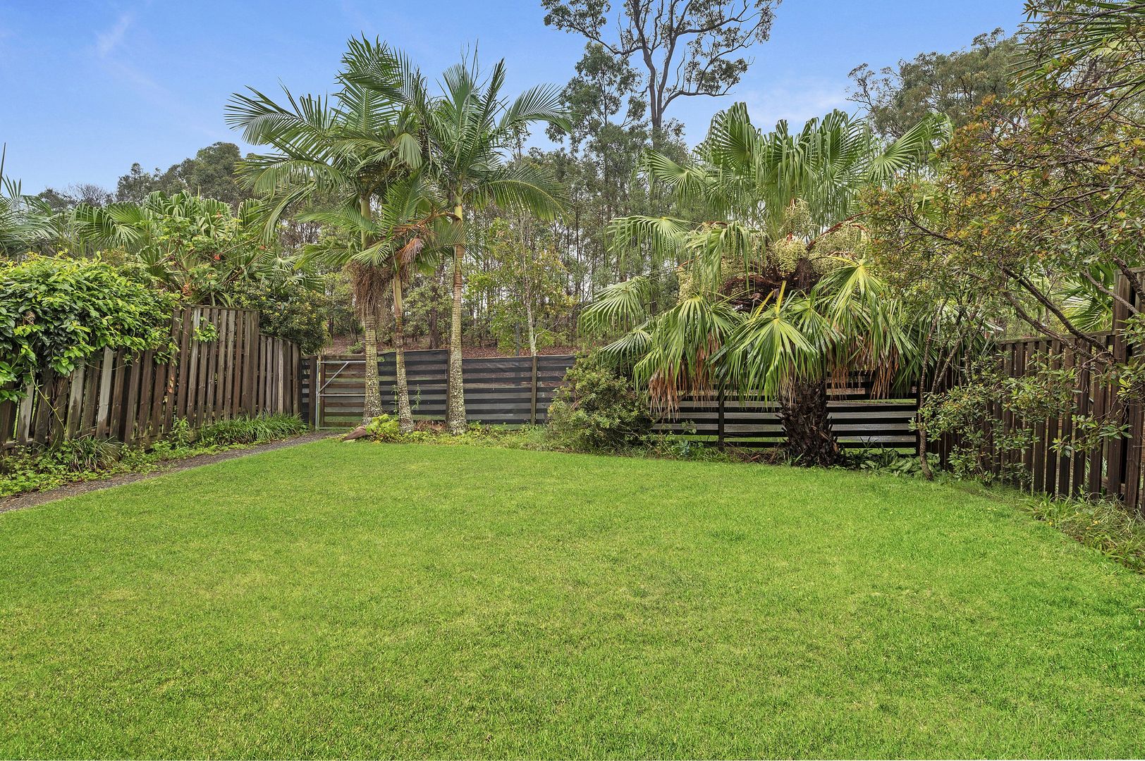 14 Cielo Lane, Coomera QLD 4209, Image 2