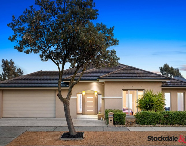 12 Waterbird Link, Craigieburn VIC 3064