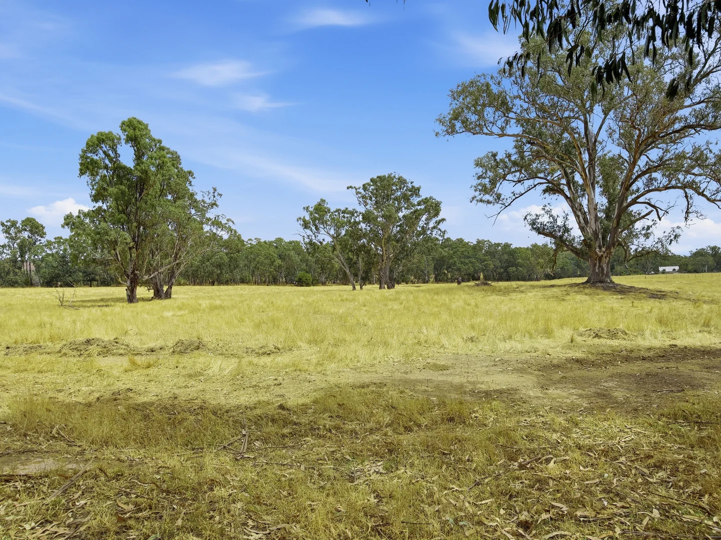 Image 22