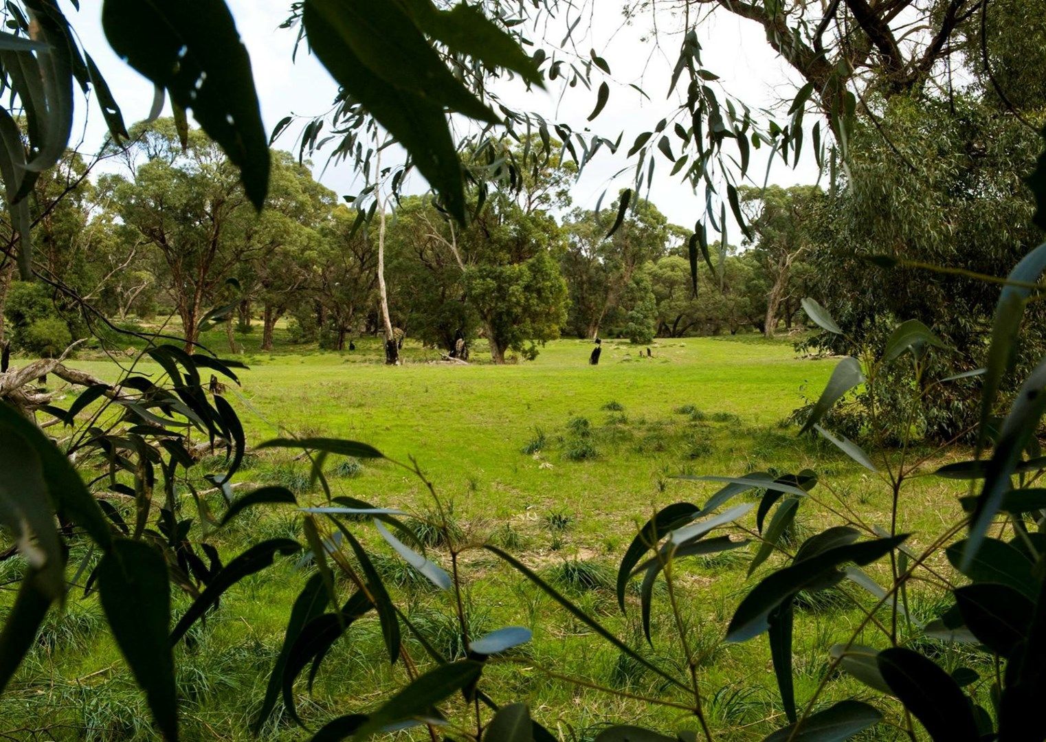 Lot 15 Elderberry Link, Two Rocks WA 6037, Image 1