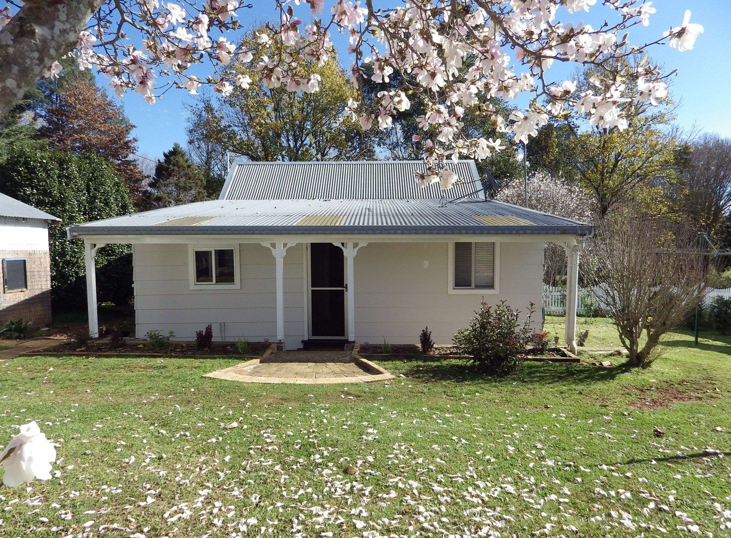 Acacia Street, Dorrigo NSW 2453, Image 0