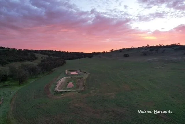 Additional image 33 of "Nundah" Katrine Road, Northam WA 6401